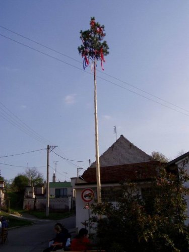 Stavění máje - 30.4.2005